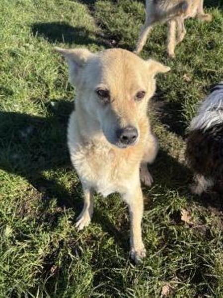 Peewee sucht ruhige Menschen