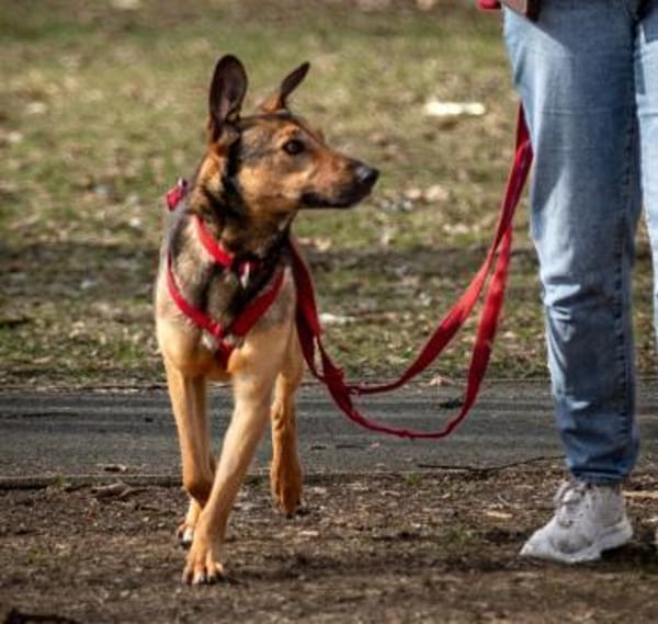 ARIS, sportlicher Herzensbub