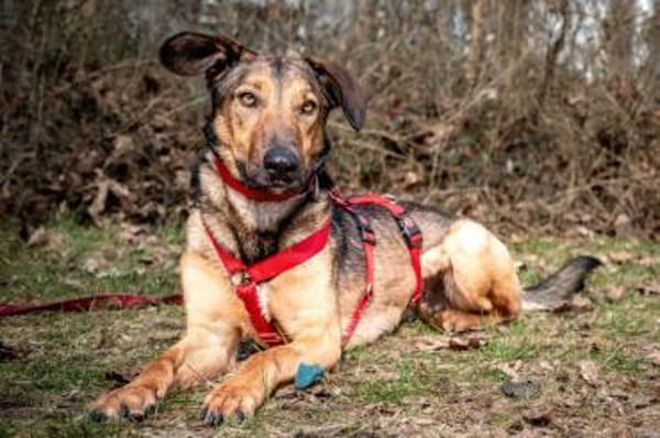 ARIS, sportlicher Herzensbub