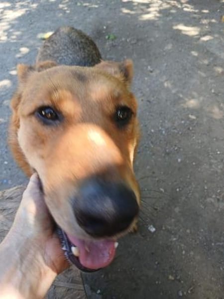 Cezar war nur eingesperrt