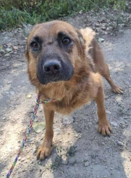 Track wartet bei 57572 Niederfischbach