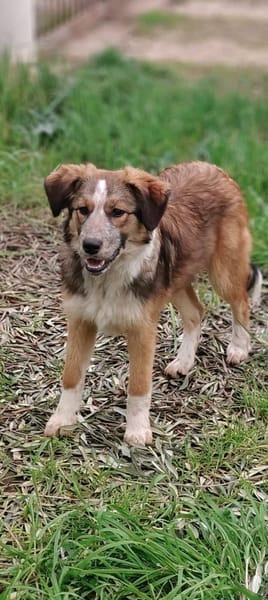 BEAN 💚💚💚 sucht Happy-Home