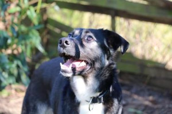 Mai - Marienkäferchen