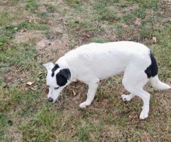 Nina ist freundlich und aktiv