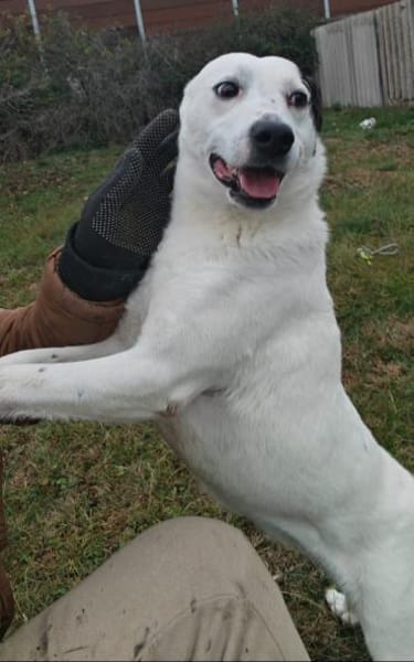 Nina ist freundlich und aktiv