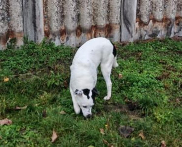 Nina ist freundlich und aktiv