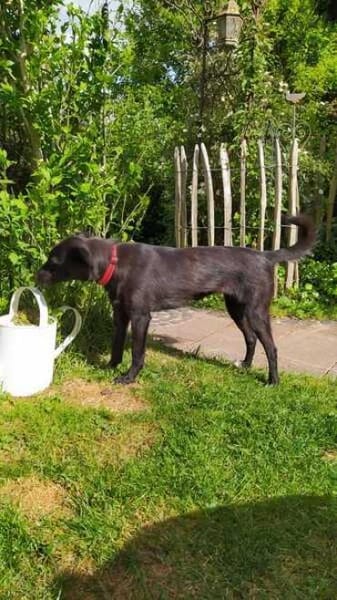 BILLA * sucht das Glück