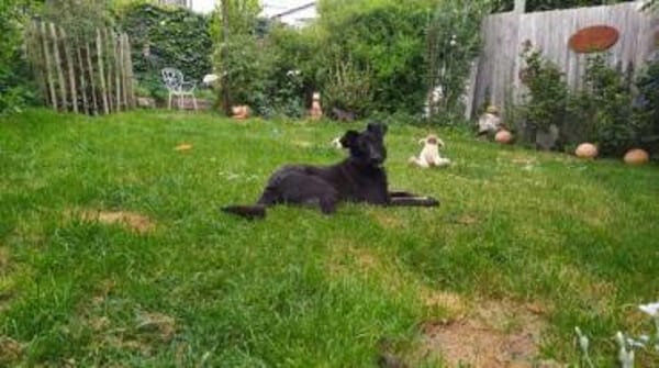 BILLA * sucht das Glück