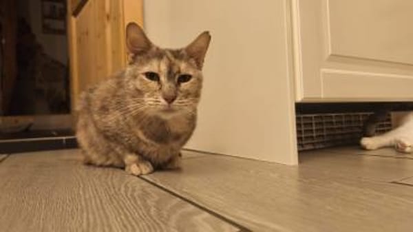 Bura und Pigi gemeinsam