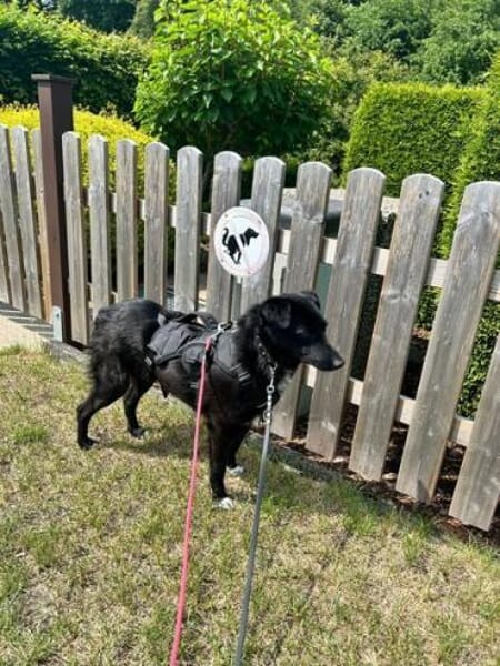 JANNA * freundliche Begleitung