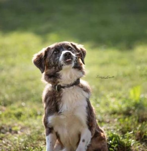 KIBA * Ihre Menschen sind Ihre Welt