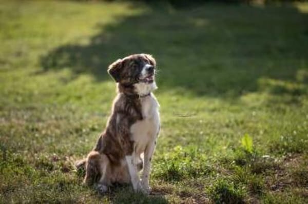 KIBA * Ihre Menschen sind Ihre Welt