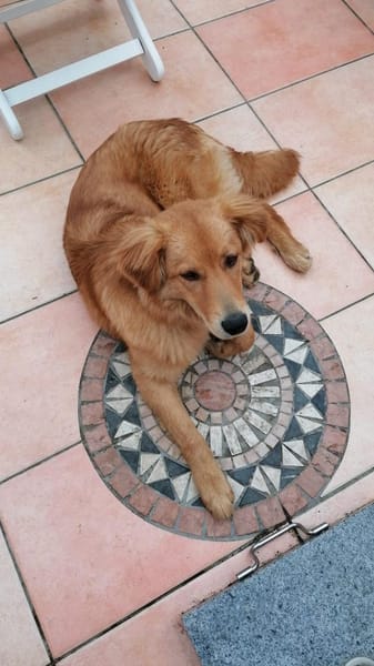 Nun muss er wieder weg 😞😕