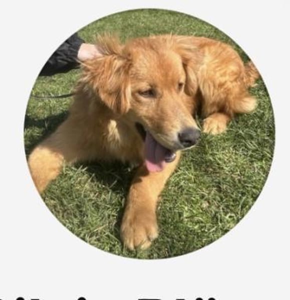 Nun muss er wieder weg 😞😕