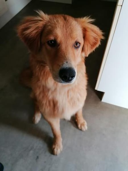 Nun muss er wieder weg 😞😕