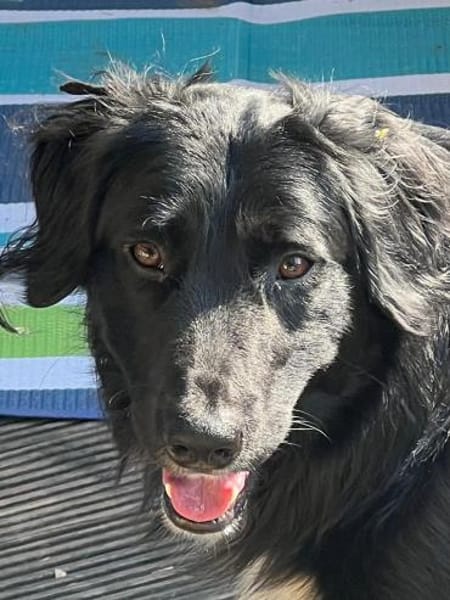 JASNY * freundlich schüchtern