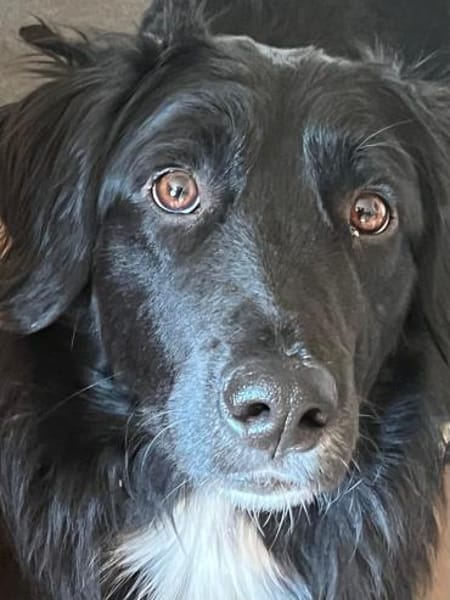 JASNY * freundlich schüchtern