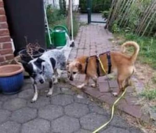 BALA -Menschenbezogen & zauberhaft-