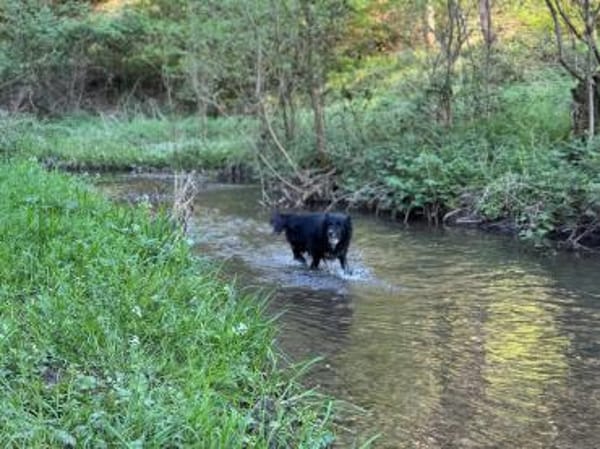 NOTFALL Coffee sucht zuhause