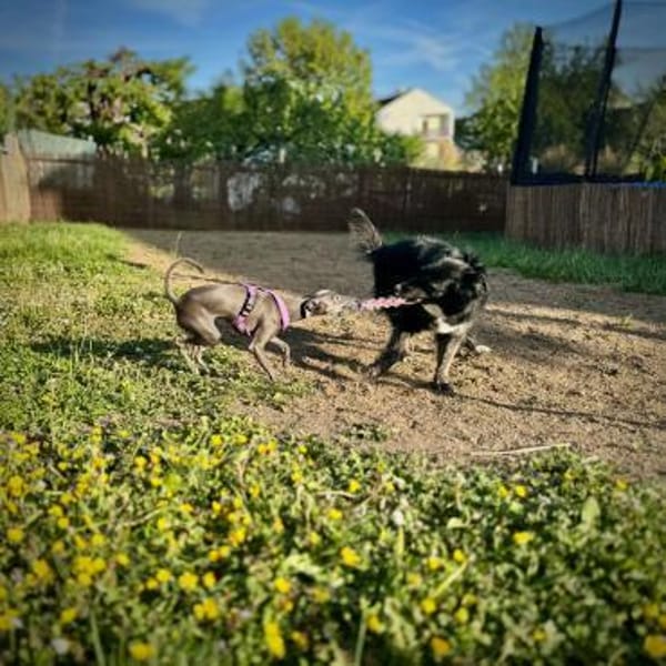 NOTFALL Coffee sucht zuhause