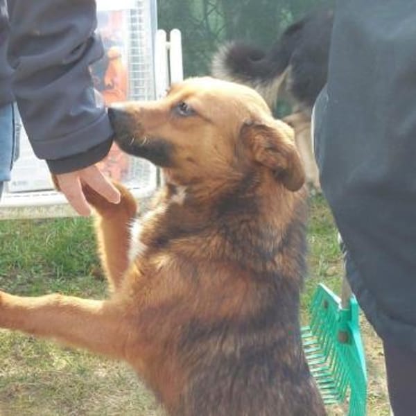 kleine süße Aurea auf PS in 91459