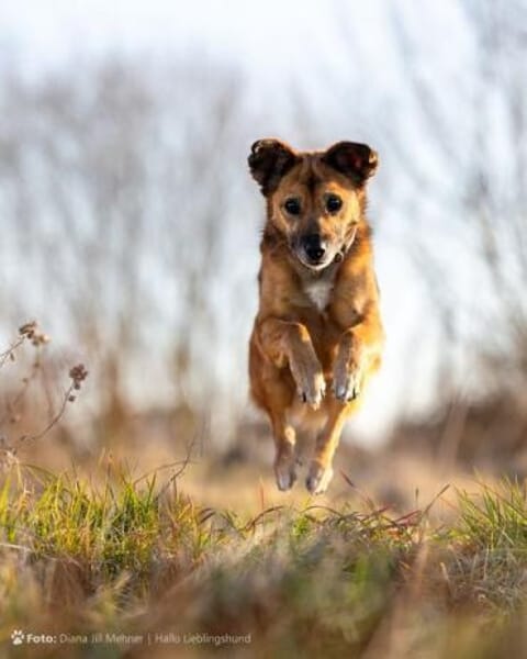 MACI * liebe Seele s. einfühlsames Heim