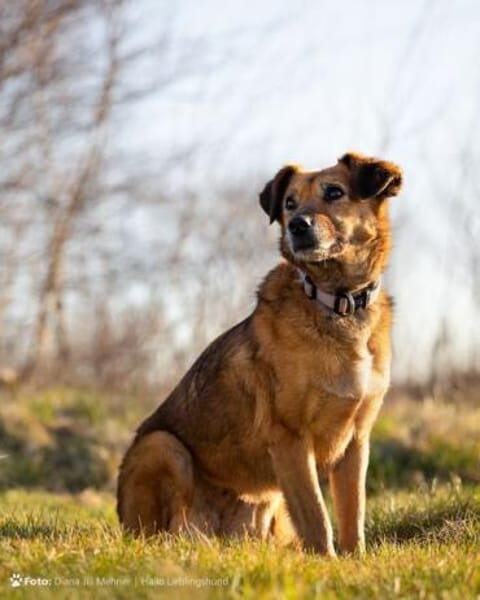 MACI * liebe Seele s. einfühlsames Heim