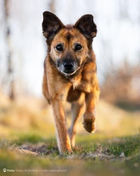 MACI * liebe Seele s. einfühlsames Heim