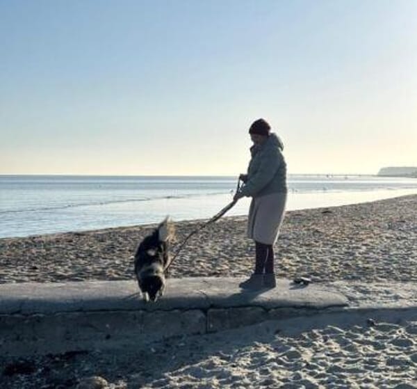 Kämperin Nougi sucht ihr Zuhause