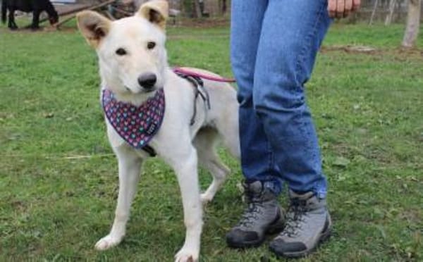 Sonnenschein Souraya sucht ihre Menschen