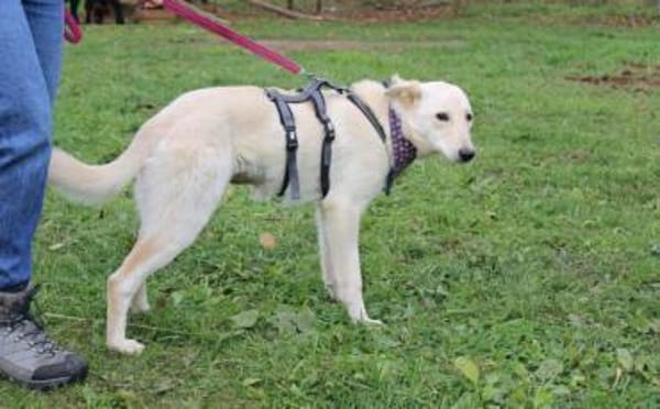 Sonnenschein Souraya sucht ihre Menschen