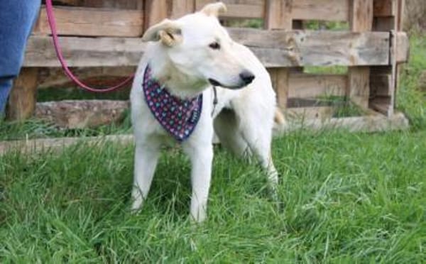 Sonnenschein Souraya sucht ihre Menschen