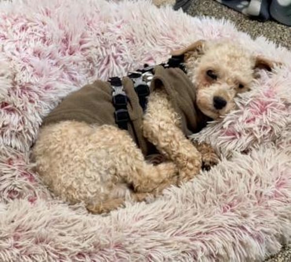 Rumli  ++Anfragestopp++