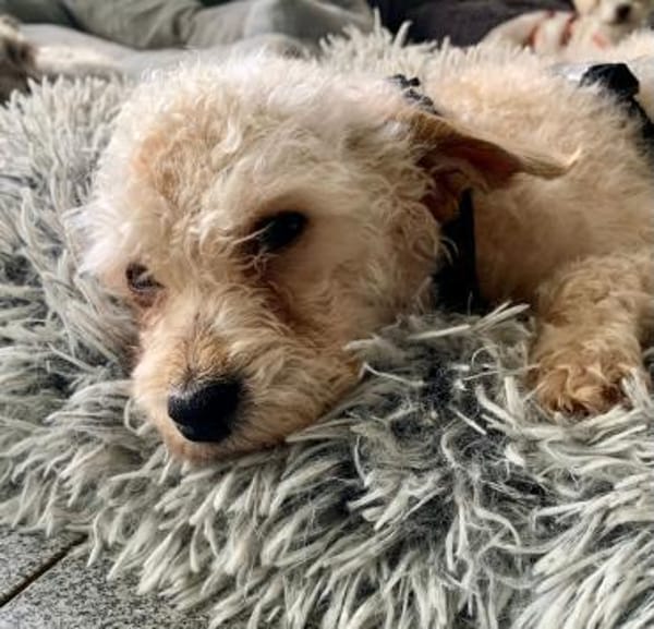 Rumli  ++Anfragestopp++