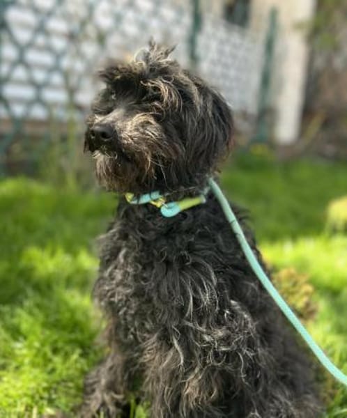 Patty:Ein Lockenkopf voller Lebensfreude