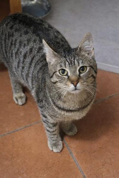 Kai sucht neuen Kuschelplatz