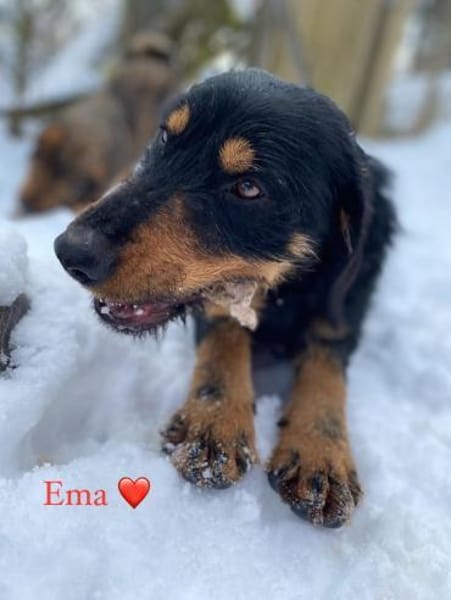 Emma - toller Charakter