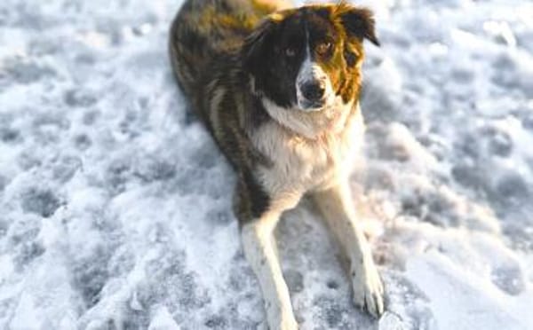 Amaris ist bereit für ein neues Leben