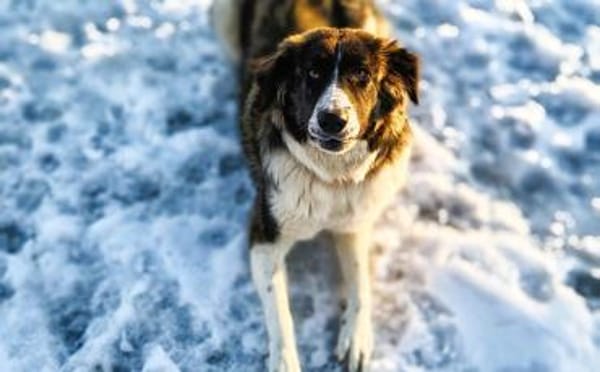 Amaris ist bereit für ein neues Leben