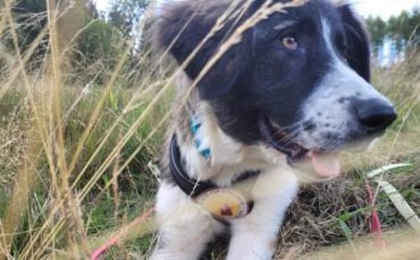 Amaris ist bereit für ein neues Leben