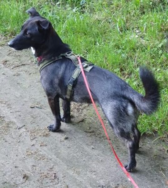 AMY DARF NICHT DURCHS RASTER FALLEN