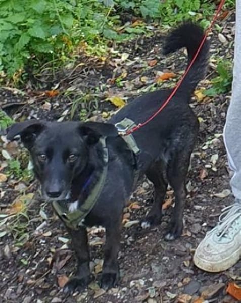 AMY DARF NICHT DURCHS RASTER FALLEN