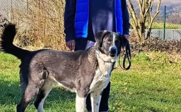 Der liebe Tobbi hat einen Wunsch