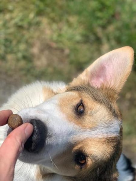 Chopin - Der Feinfühlige ☺