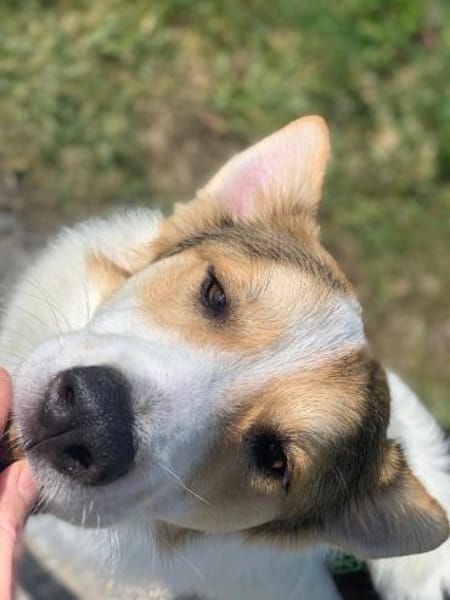 Chopin - Der Feinfühlige ☺