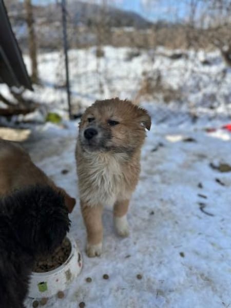 Yann, wie Müll entsorgt