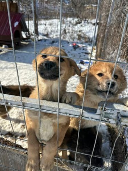 Yann, wie Müll entsorgt