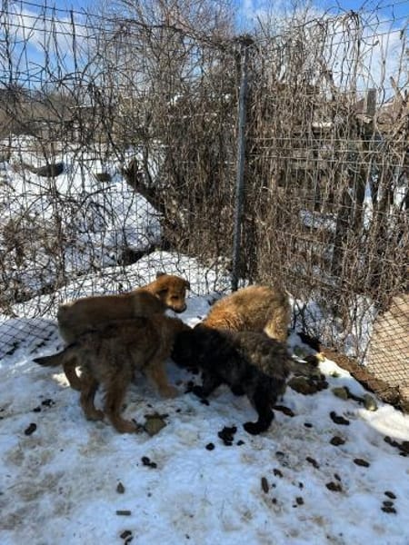 Yann, wie Müll entsorgt