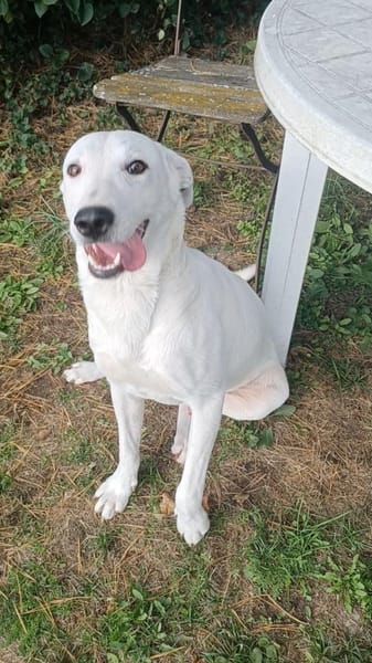 EDO  aufgeschlossen und neugierig