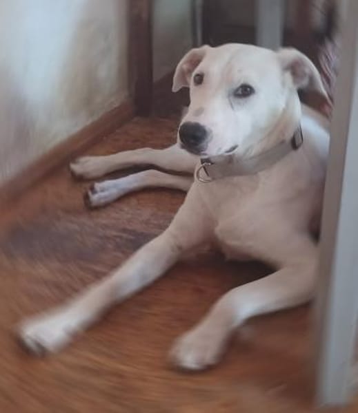 EDO  aufgeschlossen und neugierig